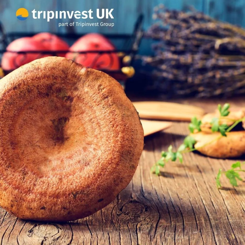 Autumn in Spain’s Southern Splendor: Valencia, Andalusia, and Murcia